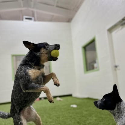 480348095_122202036710161732_819914487948682964_n