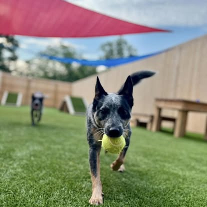 480701098_122202000674161732_5867130851494508538_n