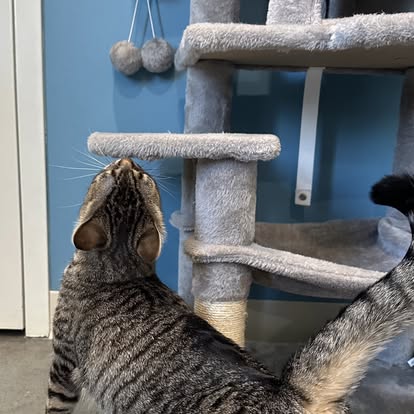 500095214_122224784618161732_1309958223656058951_n