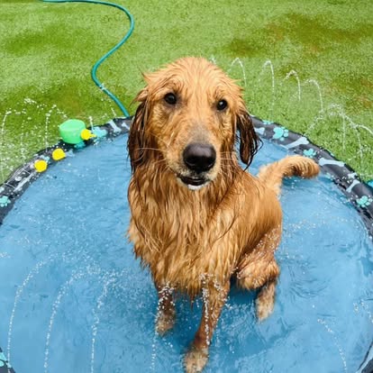 504425709_122223108026161732_4511079652487105675_n