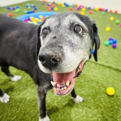 506350534_122222896424161732_6191634255792843249_n